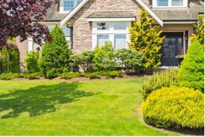 Landscaping in front of brick home